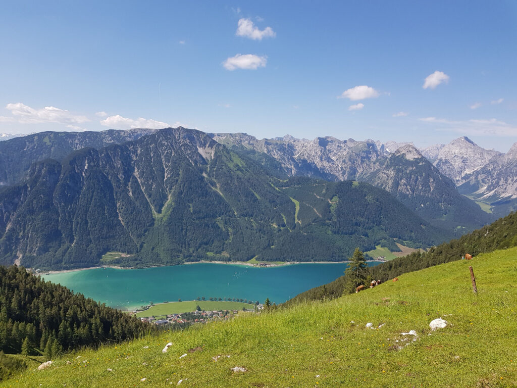 Blick von grüner Almwiese auf den türkisblauen Achensee mit Bergpanorama und Ortschaft in Tirol