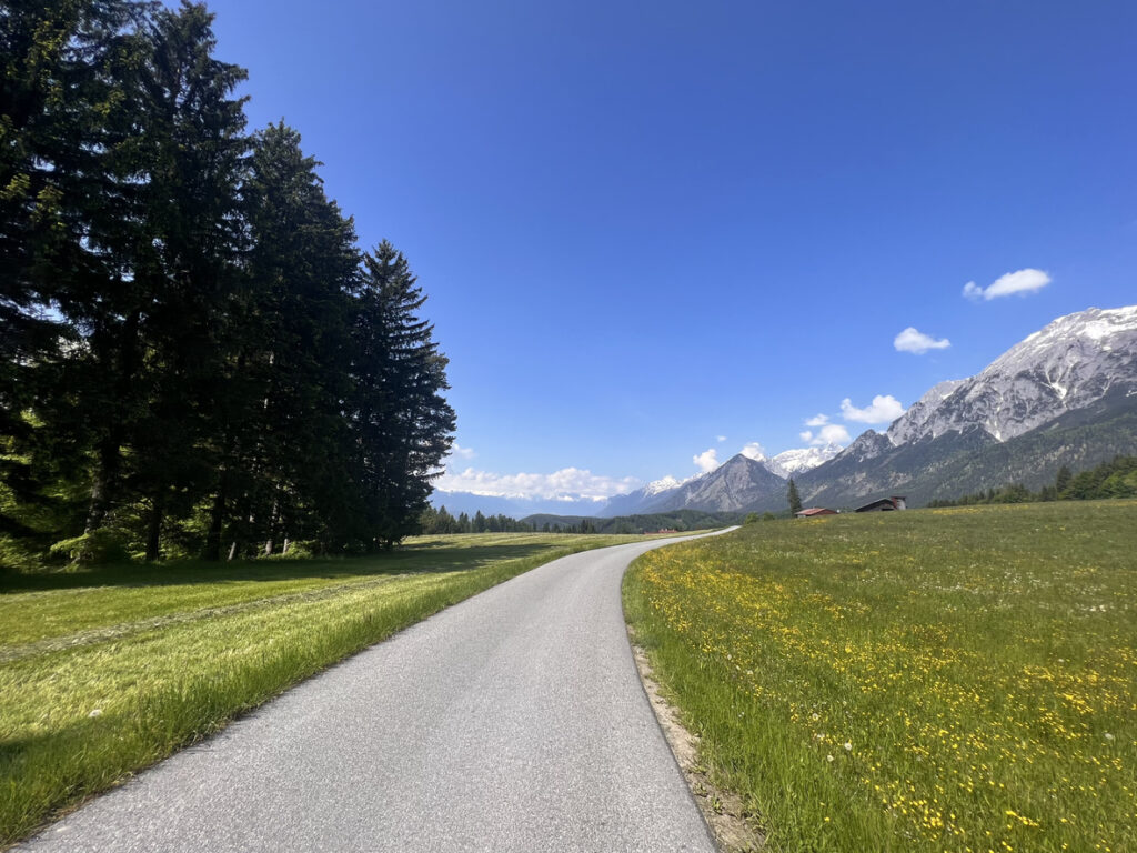 Geschwungener Weg durch grüne Wiesen mit Blumen und Nadelwald vor schneebedecktem Bergpanorama bei Wattens in Tirol