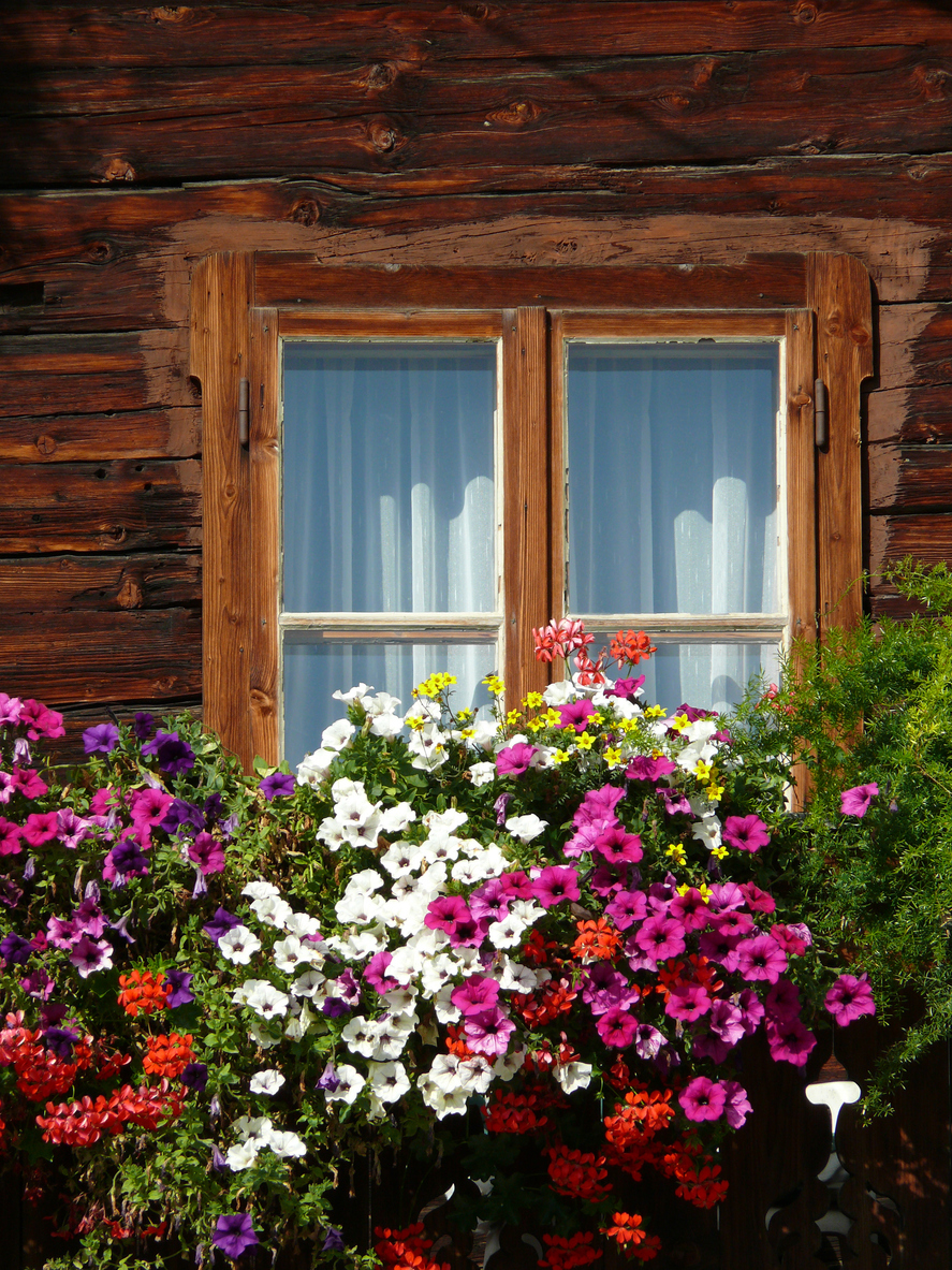 blick auf ein klassisch dekoriertes fenster