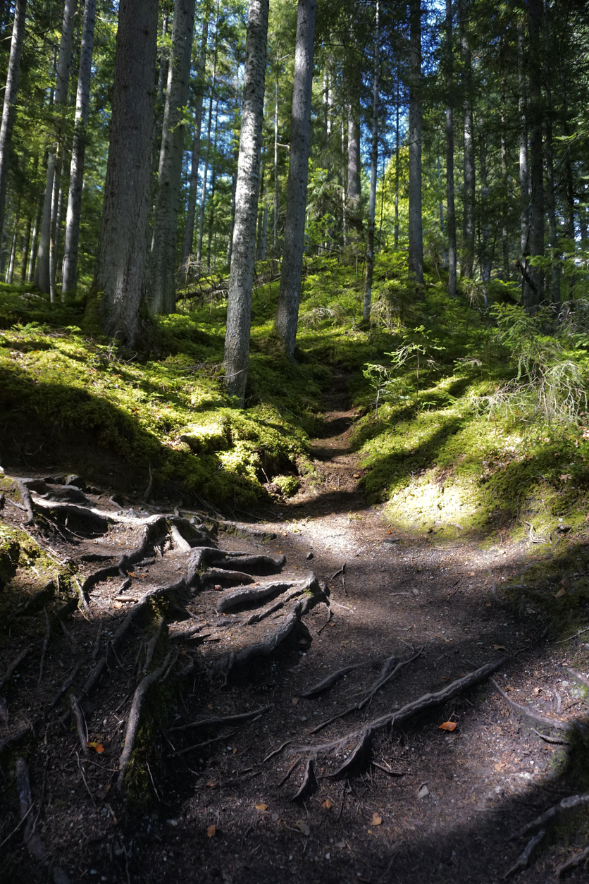 wanderweg am zahmen kaiser