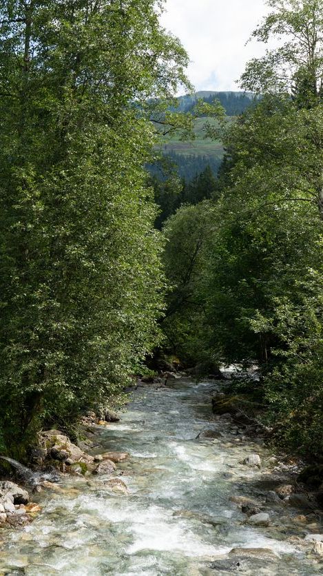 blick auf einen bachlauf bei kirchberg
