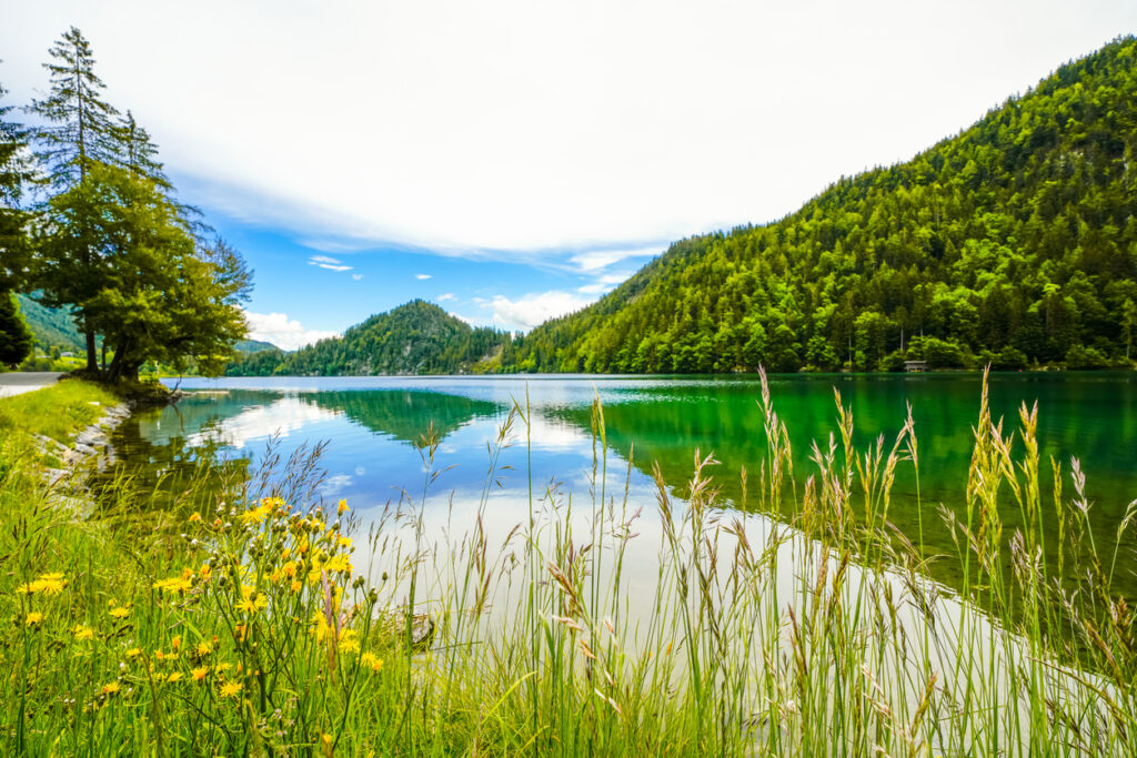 Klarer Bergsee mit smaragdgrünem Wasser, bewaldeten Berghängen und blühenden Wildblumen am Ufer in Tirol