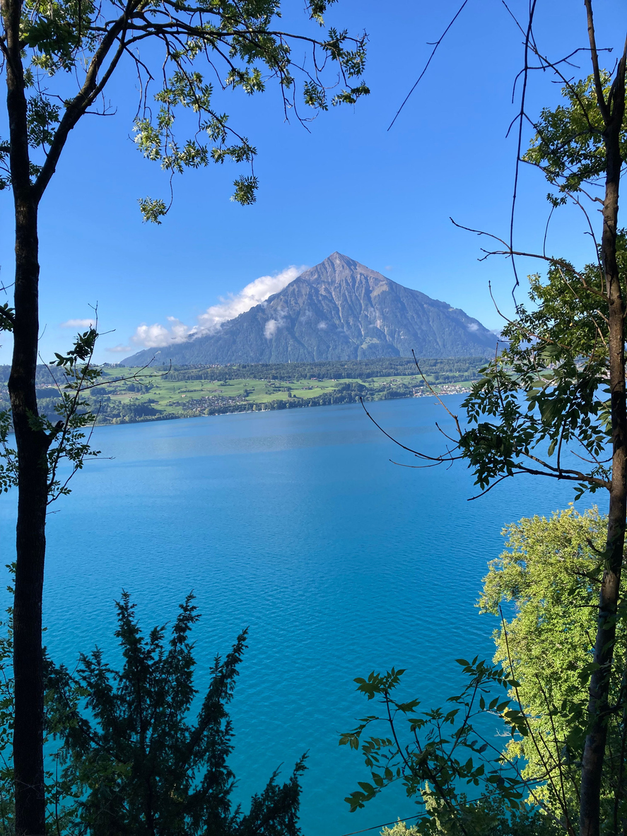 blick auf einen berg und einen see